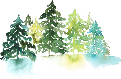 Woodland Watercolor Illustration